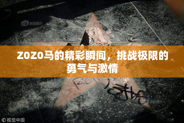 Z0Z0马的精彩瞬间，挑战极限的勇气与激情