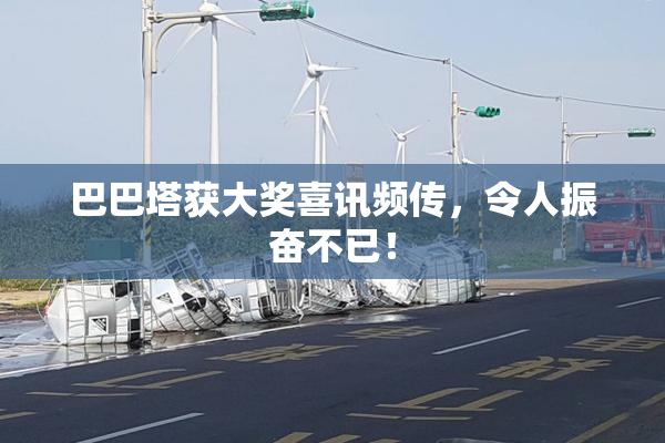 巴巴塔获大奖喜讯频传，令人振奋不已！