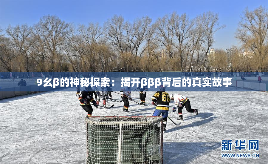 9幺β的神秘探索：揭开βββ背后的真实故事
