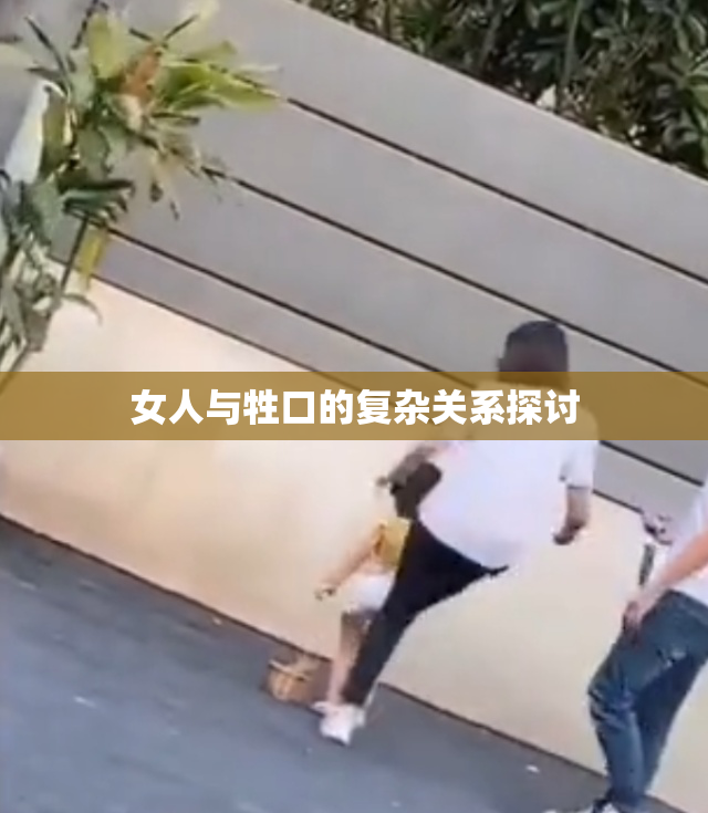 女人与牲口的复杂关系探讨