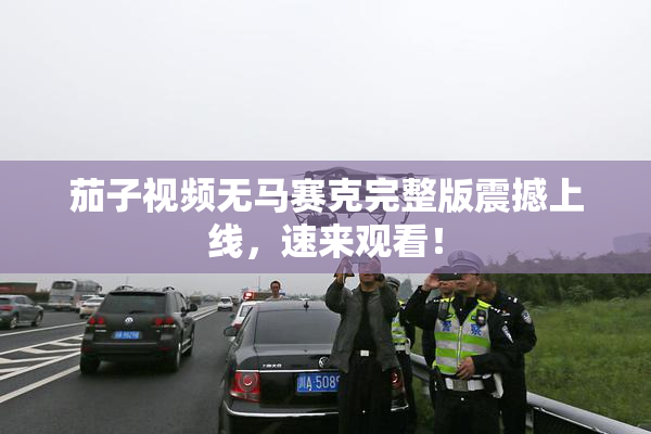 茄子视频无马赛克完整版震撼上线，速来观看！