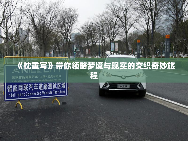 《枕重写》带你领略梦境与现实的交织奇妙旅程
