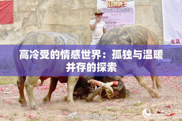高冷受的情感世界：孤独与温暖并存的探索