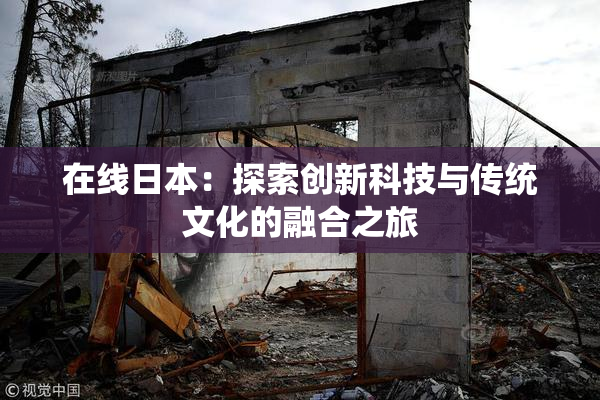 在线日本：探索创新科技与传统文化的融合之旅