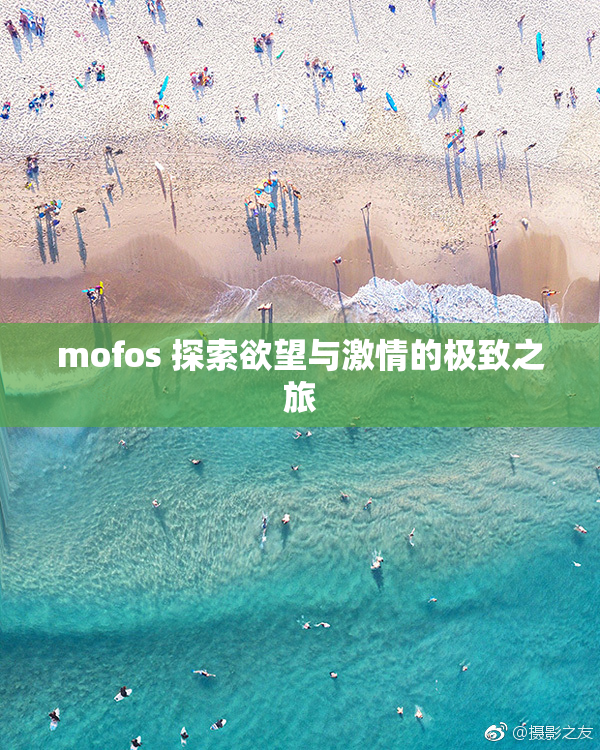 mofos 探索欲望与激情的极致之旅