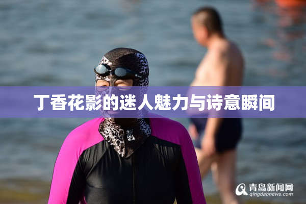 丁香花影的迷人魅力与诗意瞬间