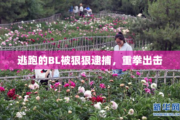 逃跑的BL被狠狠逮捕，重拳出击