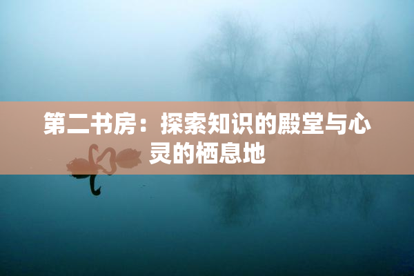 第二书房：探索知识的殿堂与心灵的栖息地