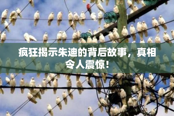 疯狂揭示朱迪的背后故事，真相令人震惊！