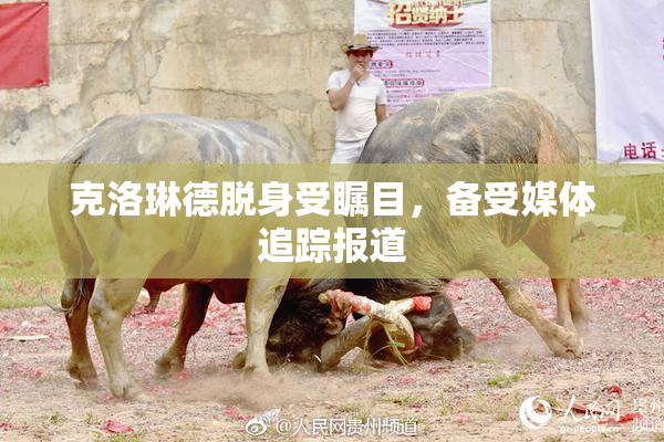 克洛琳德脱身受瞩目，备受媒体追踪报道