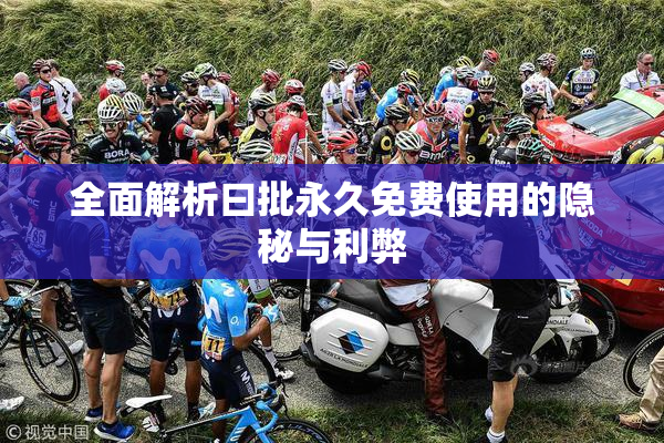 全面解析曰批永久免费使用的隐秘与利弊