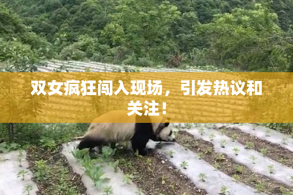 双女疯狂闯入现场，引发热议和关注！