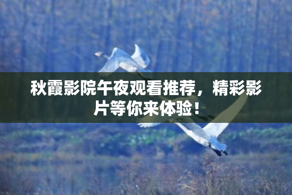 秋霞影院午夜观看推荐，精彩影片等你来体验！