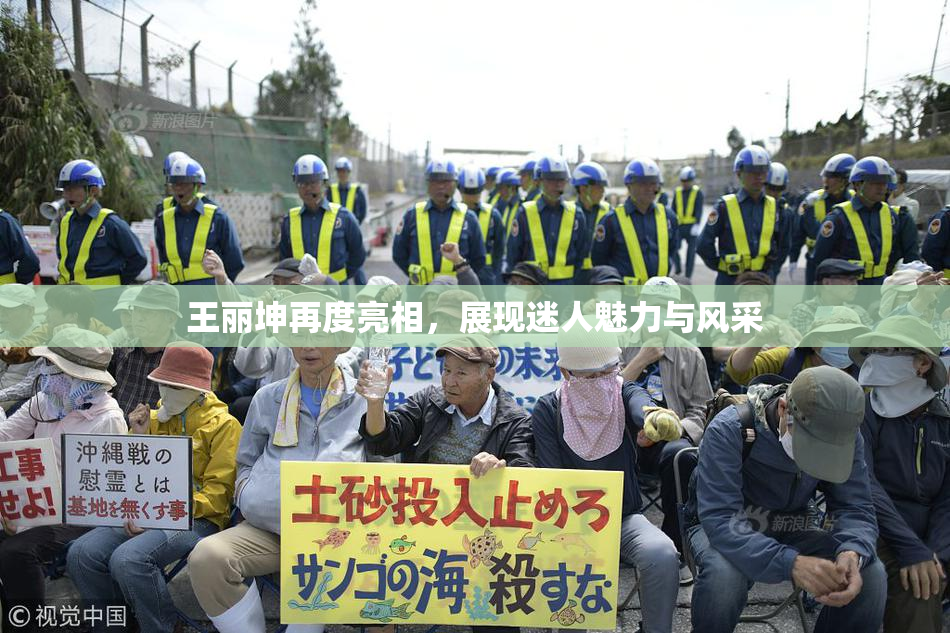 王丽坤再度亮相，展现迷人魅力与风采