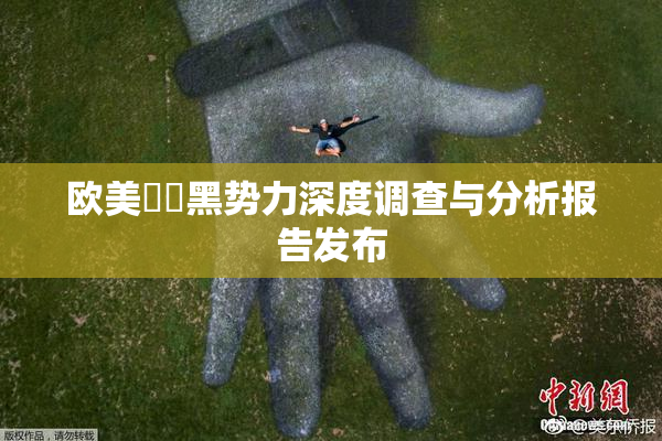 欧美❌‌黑势力深度调查与分析报告发布