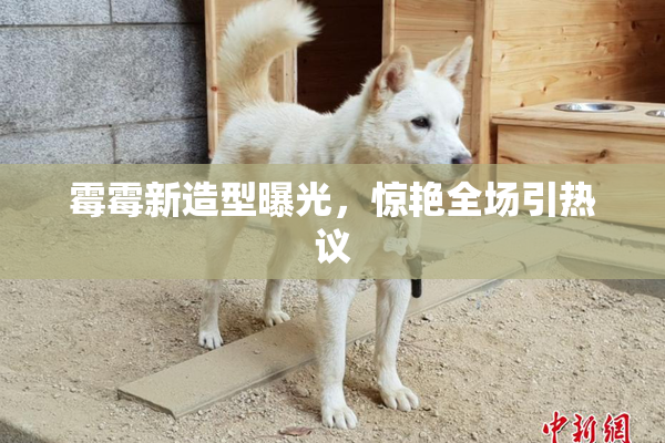 霉霉新造型曝光，惊艳全场引热议