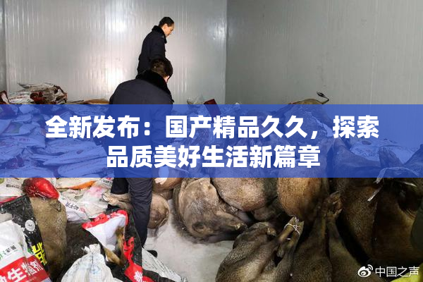 全新发布：国产精品久久，探索品质美好生活新篇章