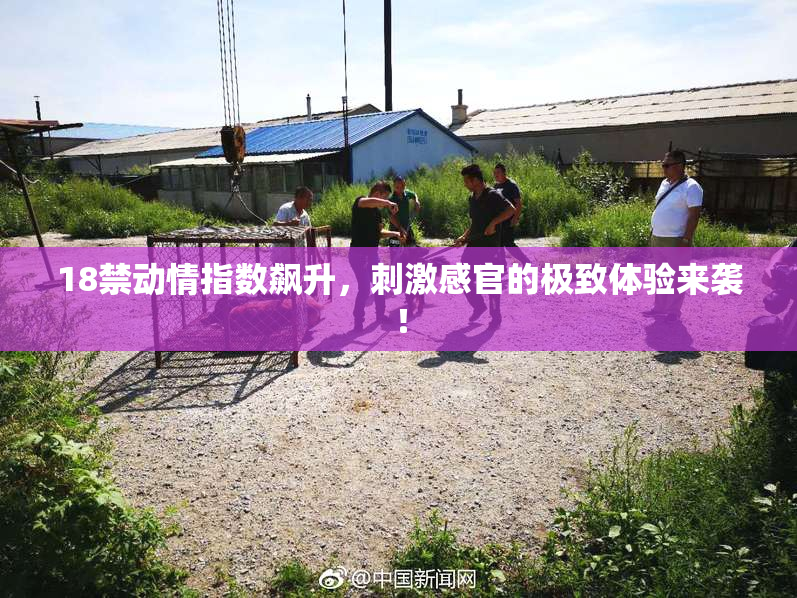 18禁动情指数飙升，刺激感官的极致体验来袭！