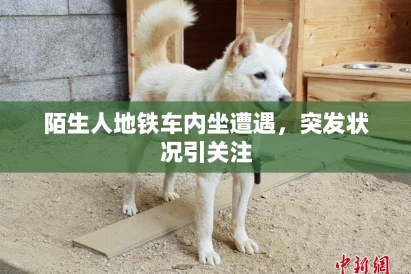 陌生人地铁车内坐遭遇，突发状况引关注