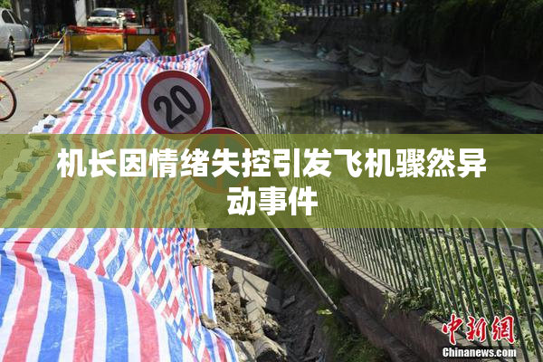 机长因情绪失控引发飞机骤然异动事件