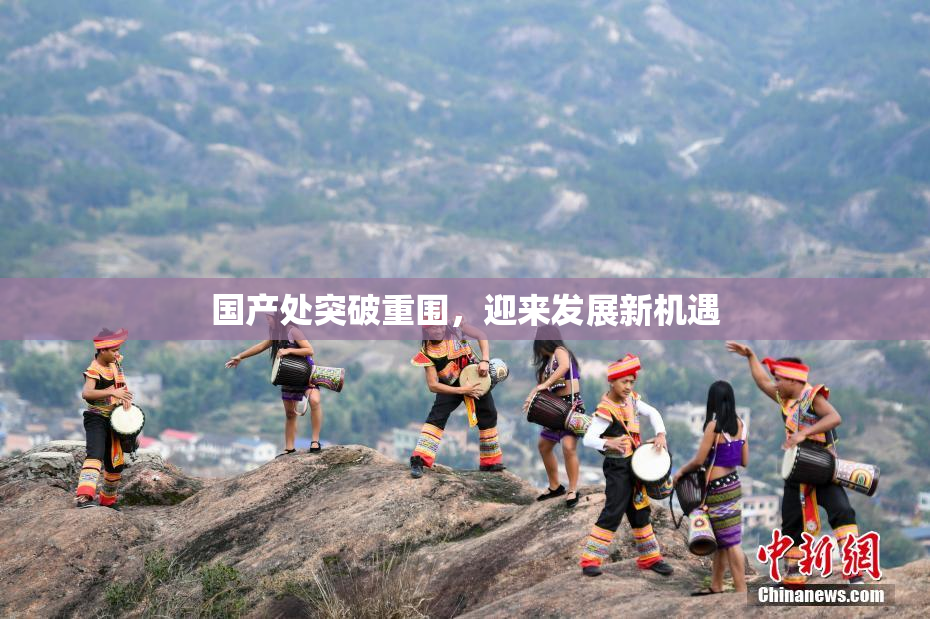 国产处突破重围，迎来发展新机遇