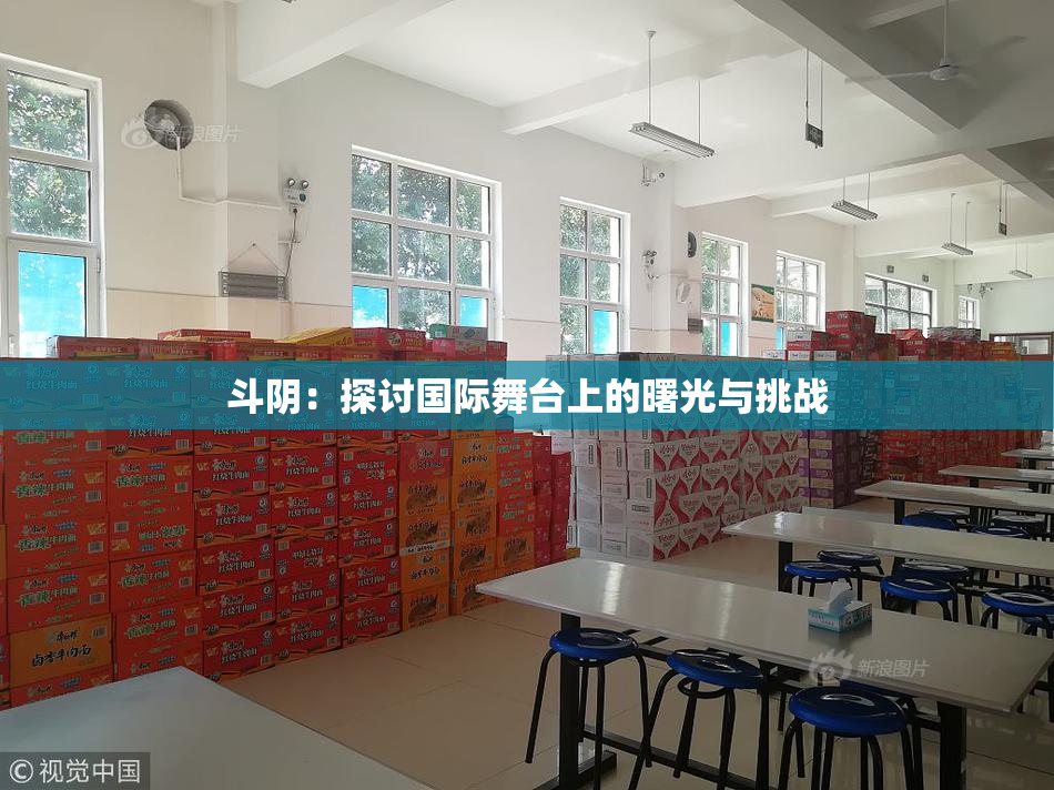 斗阴：探讨国际舞台上的曙光与挑战