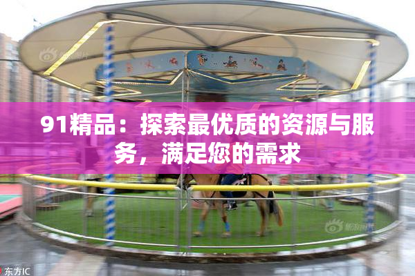 91精品：探索最优质的资源与服务，满足您的需求