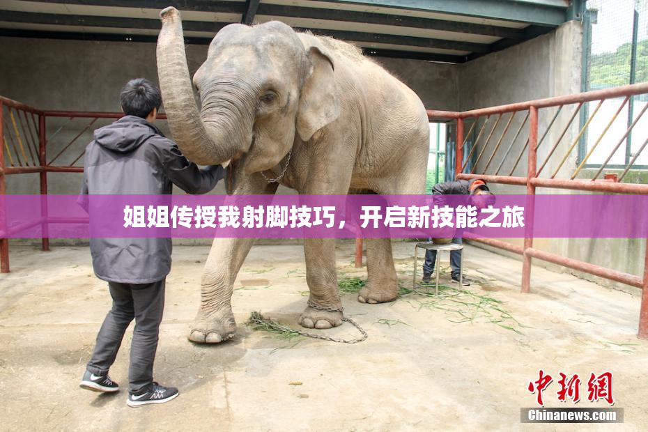 姐姐传授我射脚技巧，开启新技能之旅