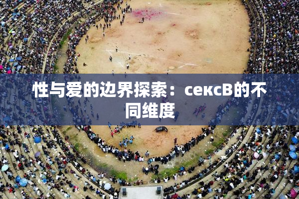 性与爱的边界探索：сексB的不同维度