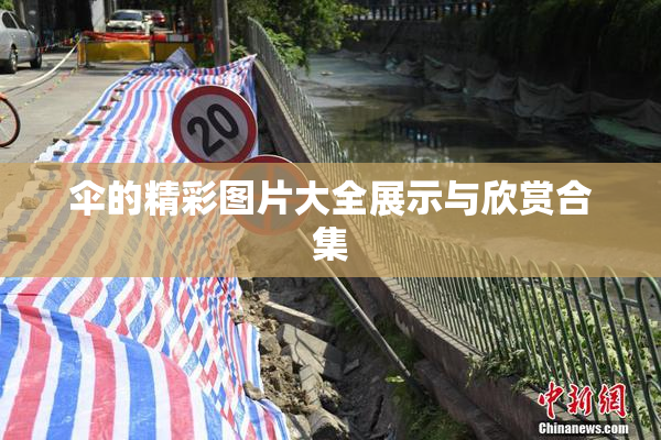 伞的精彩图片大全展示与欣赏合集