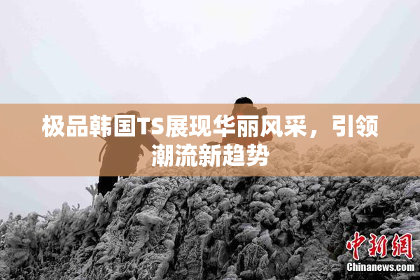 极品韩国TS展现华丽风采，引领潮流新趋势