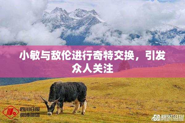 小敏与敌伦进行奇特交换，引发众人关注