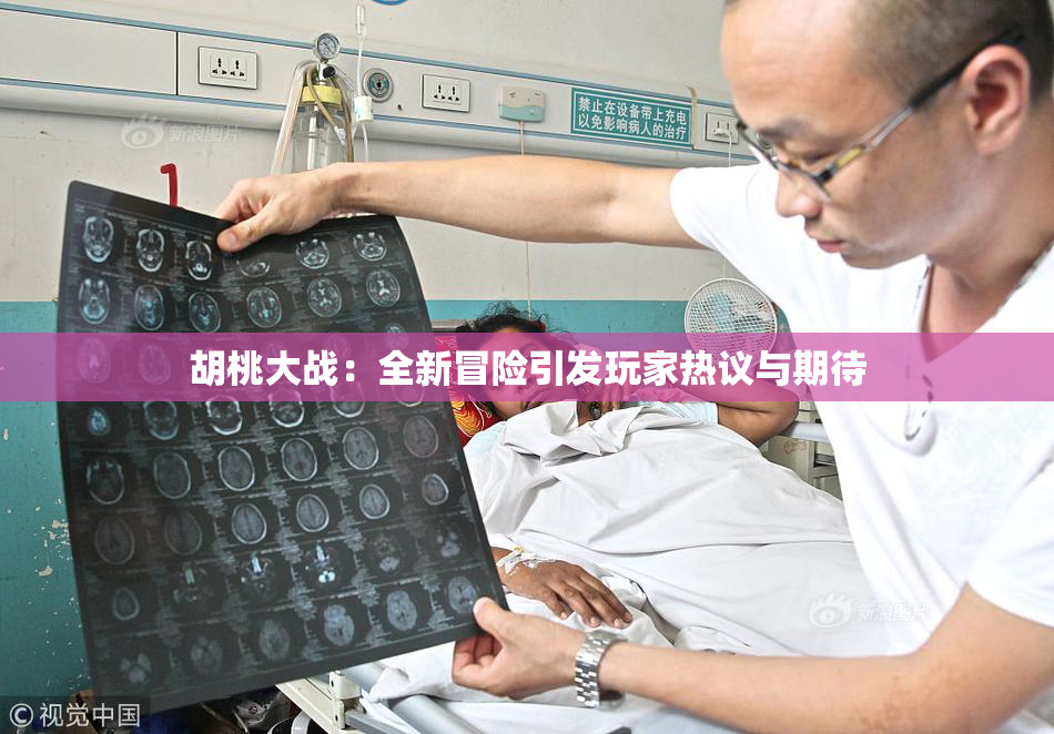 胡桃大战：全新冒险引发玩家热议与期待