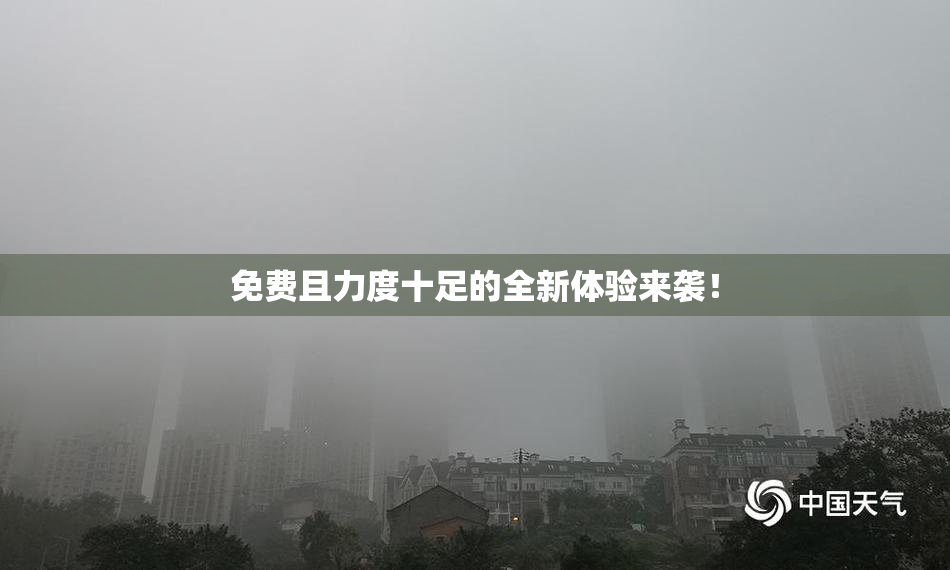 免费且力度十足的全新体验来袭！