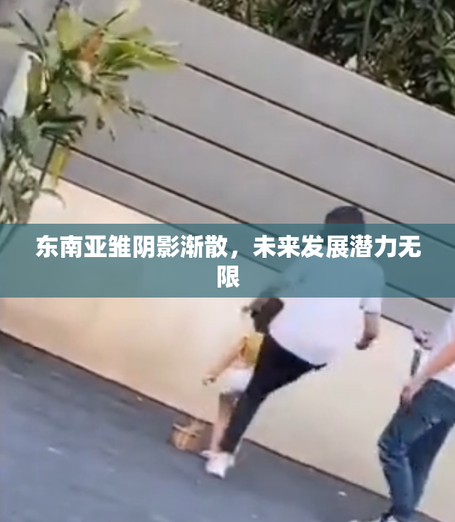 东南亚雏阴影渐散，未来发展潜力无限