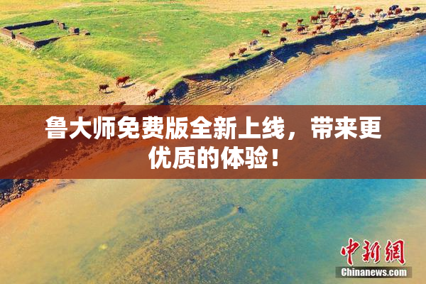 鲁大师免费版全新上线，带来更优质的体验！