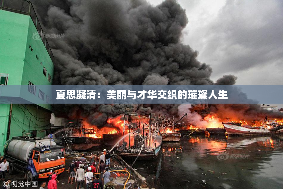 夏思凝清：美丽与才华交织的璀璨人生