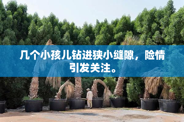 几个小孩儿钻进狭小缝隙，险情引发关注。