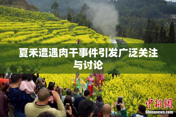 夏禾遭遇肉干事件引发广泛关注与讨论