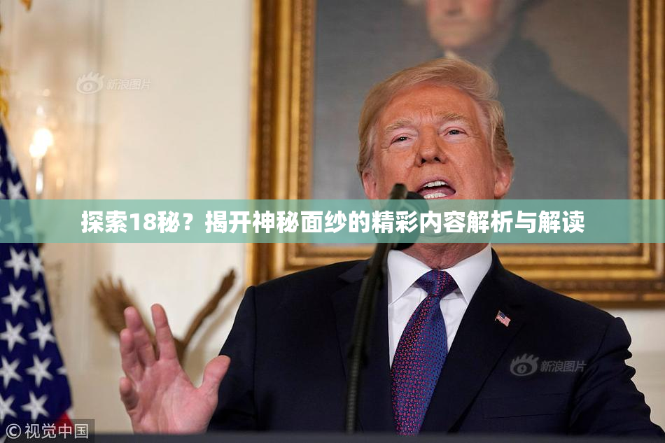 探索18秘？揭开神秘面纱的精彩内容解析与解读