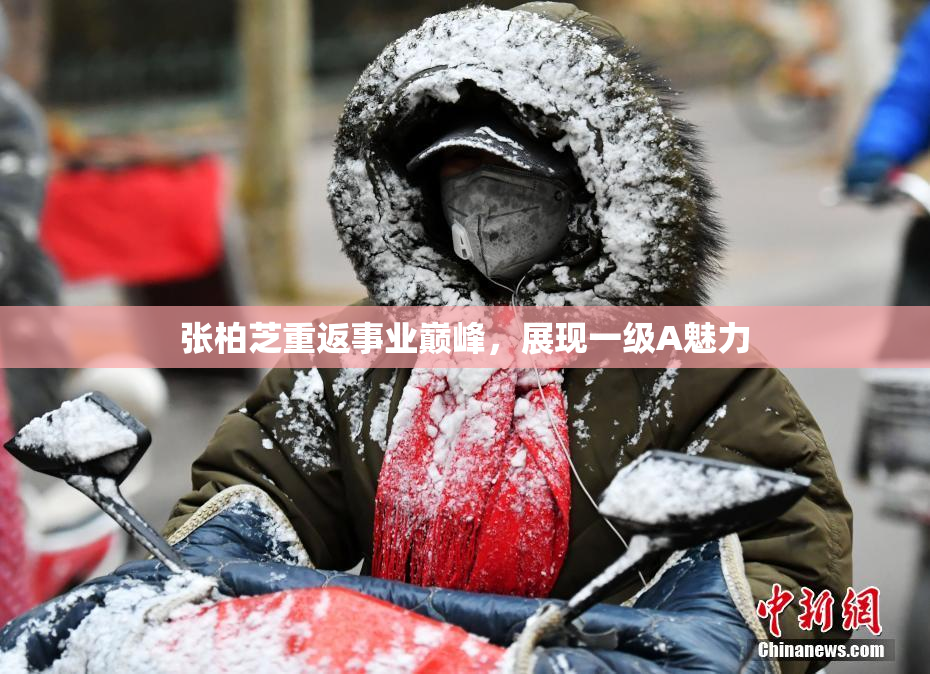 张柏芝重返事业巅峰，展现一级A魅力