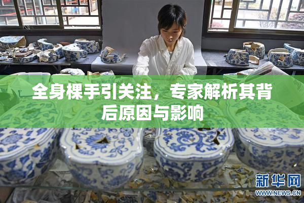 全身棵手引关注，专家解析其背后原因与影响