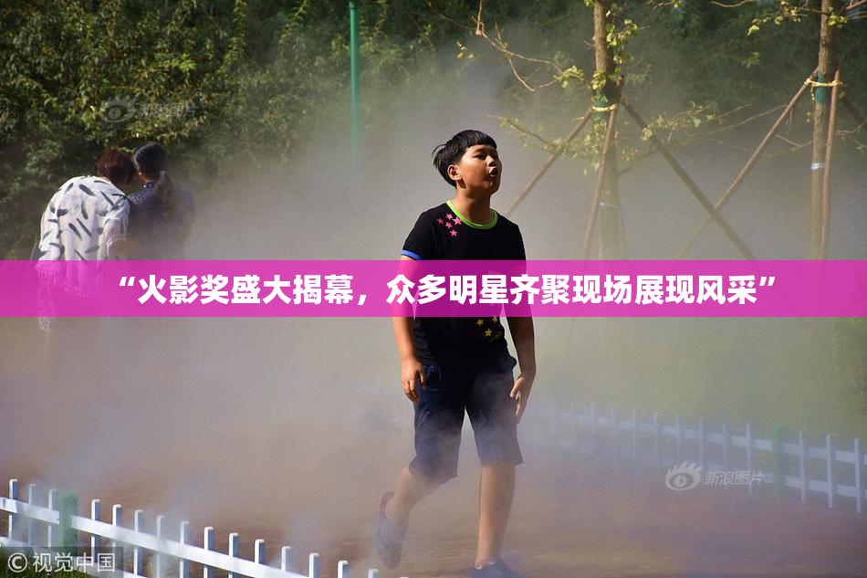 “火影奖盛大揭幕，众多明星齐聚现场展现风采”