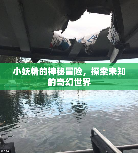 小妖精的神秘冒险，探索未知的奇幻世界