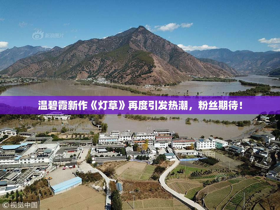 温碧霞新作《灯草》再度引发热潮，粉丝期待！