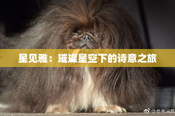 星见雅：璀璨星空下的诗意之旅