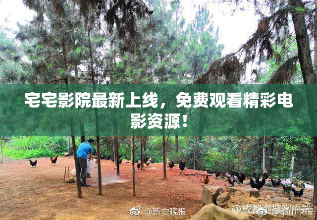 宅宅影院最新上线，免费观看精彩电影资源！
