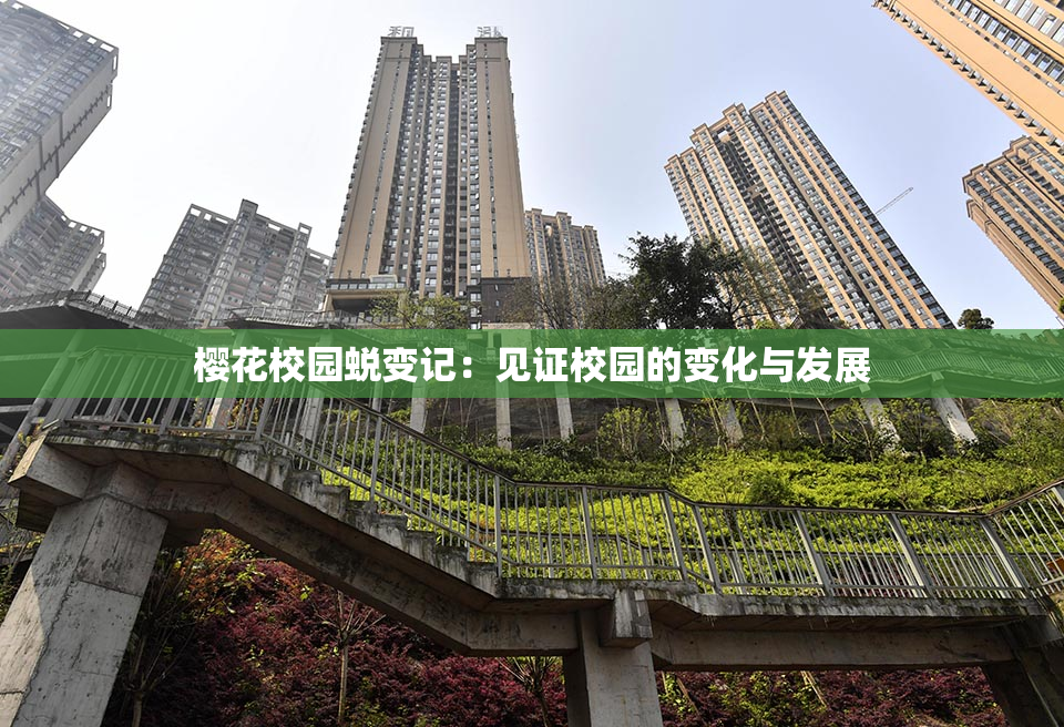 樱花校园蜕变记：见证校园的变化与发展
