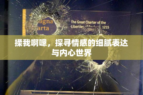 揉我啊嗯，探寻情感的细腻表达与内心世界