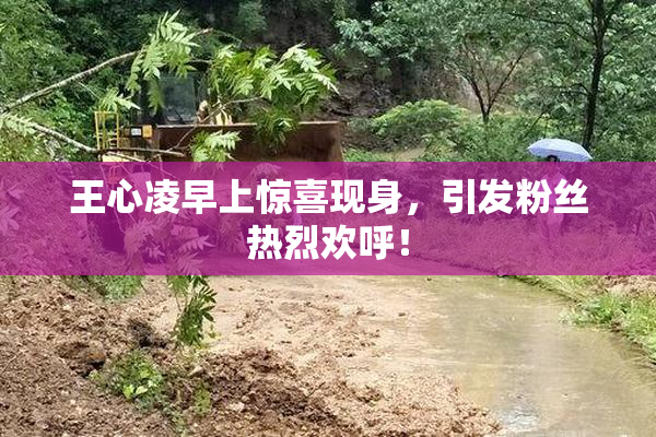 王心凌早上惊喜现身，引发粉丝热烈欢呼！